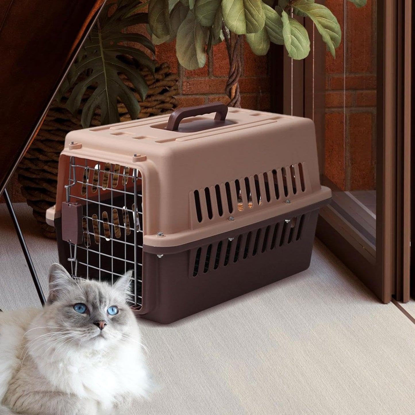 Pet Carrier Pet Travel Box Portable Hard Sided Pet Transport Cage Pet Carrier Crate Box for Tiny Dog Breeds Pet Store Biking, Brown
