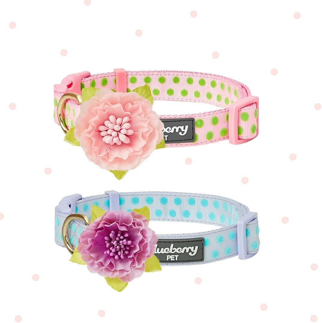 Adjustable Flocking Dog Collar with Silk Flower, Polka Dot in Baby Pink, Large - Dog Collars for Small Dogs, Girl Dog Collars, Pink Dog Collar, Neck 18-26"