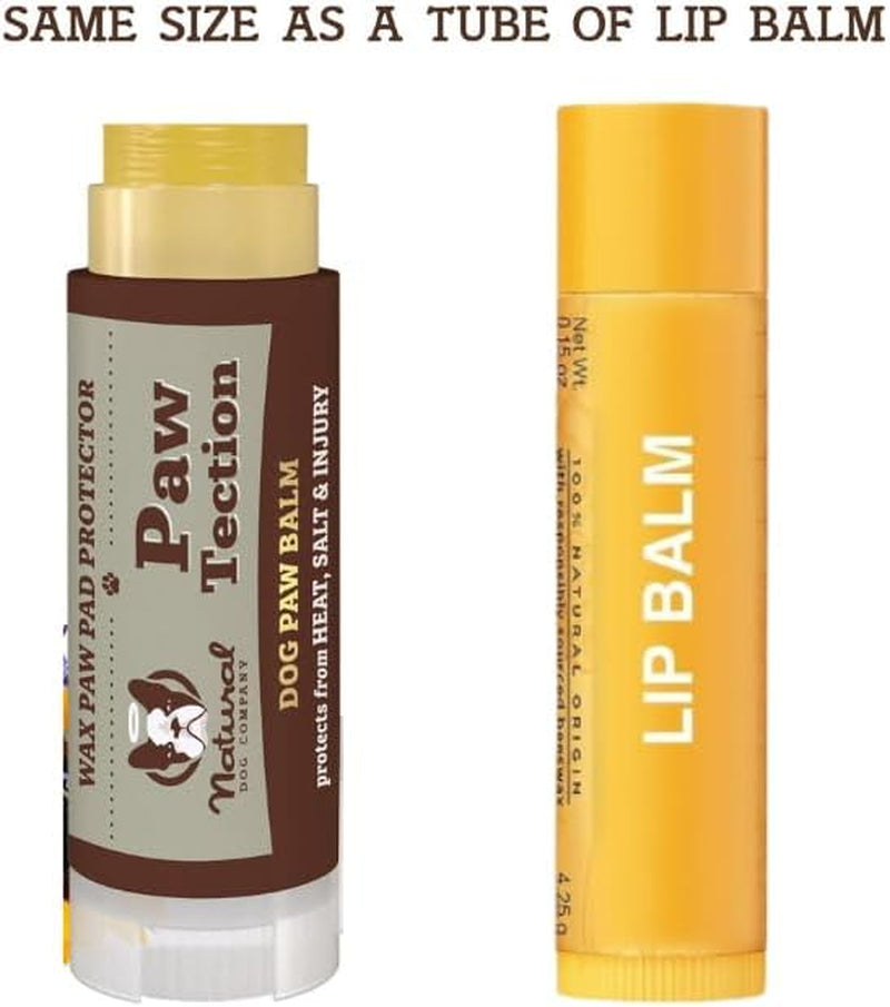 Pawtection Balm for Dogs, Dog Paw Protector, Moisturizing Dog Paw Balm for Dry, Cracked Pad, Protects Paw from Extreme Weather, Paw Lotion for Allergies & Itching (0.15 Oz Stick)