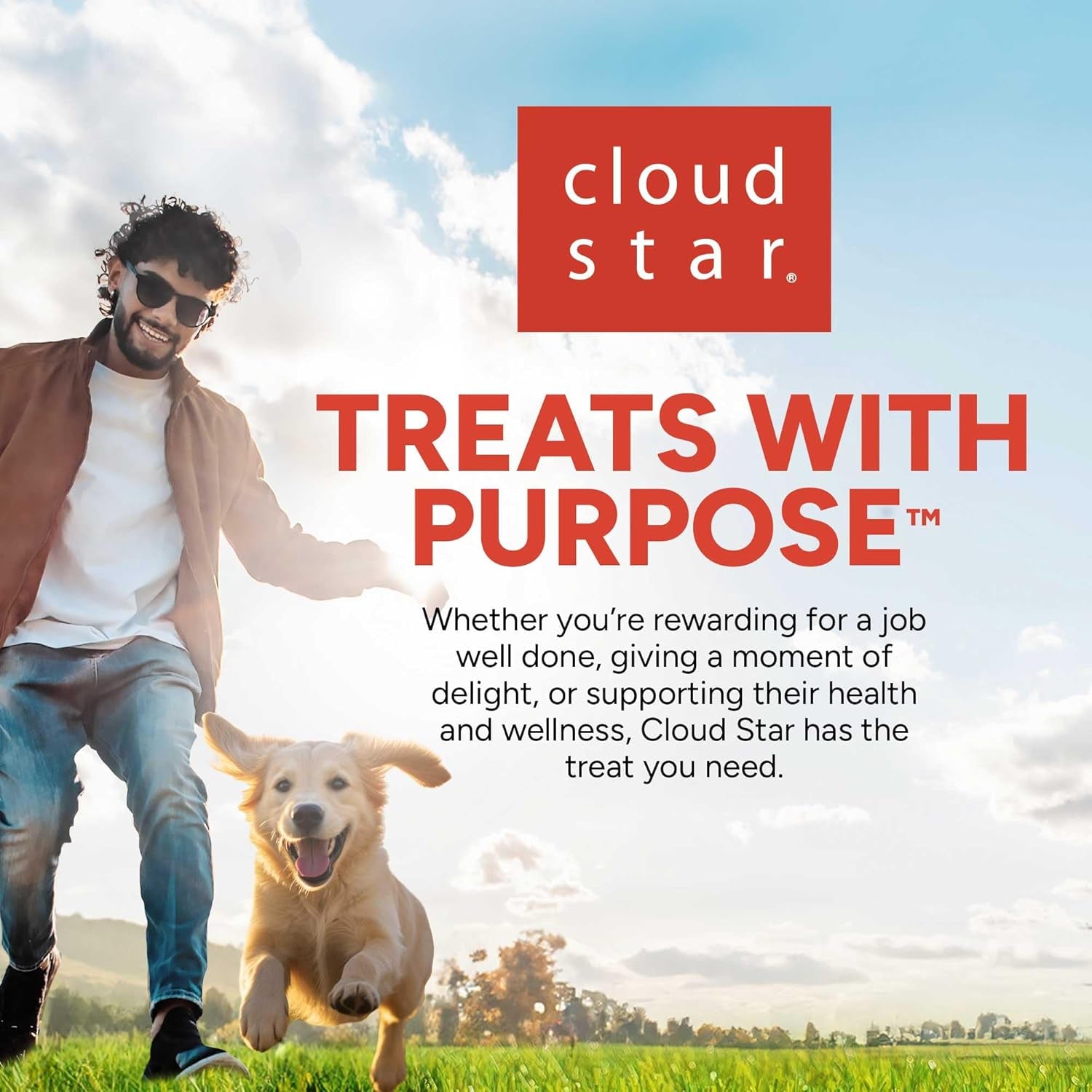 10 Oz. Pouch Training Reward Mini Soft & Chewy, Chicken Flavor, with 500 Treats per Bag, the Choice of Top Trainers