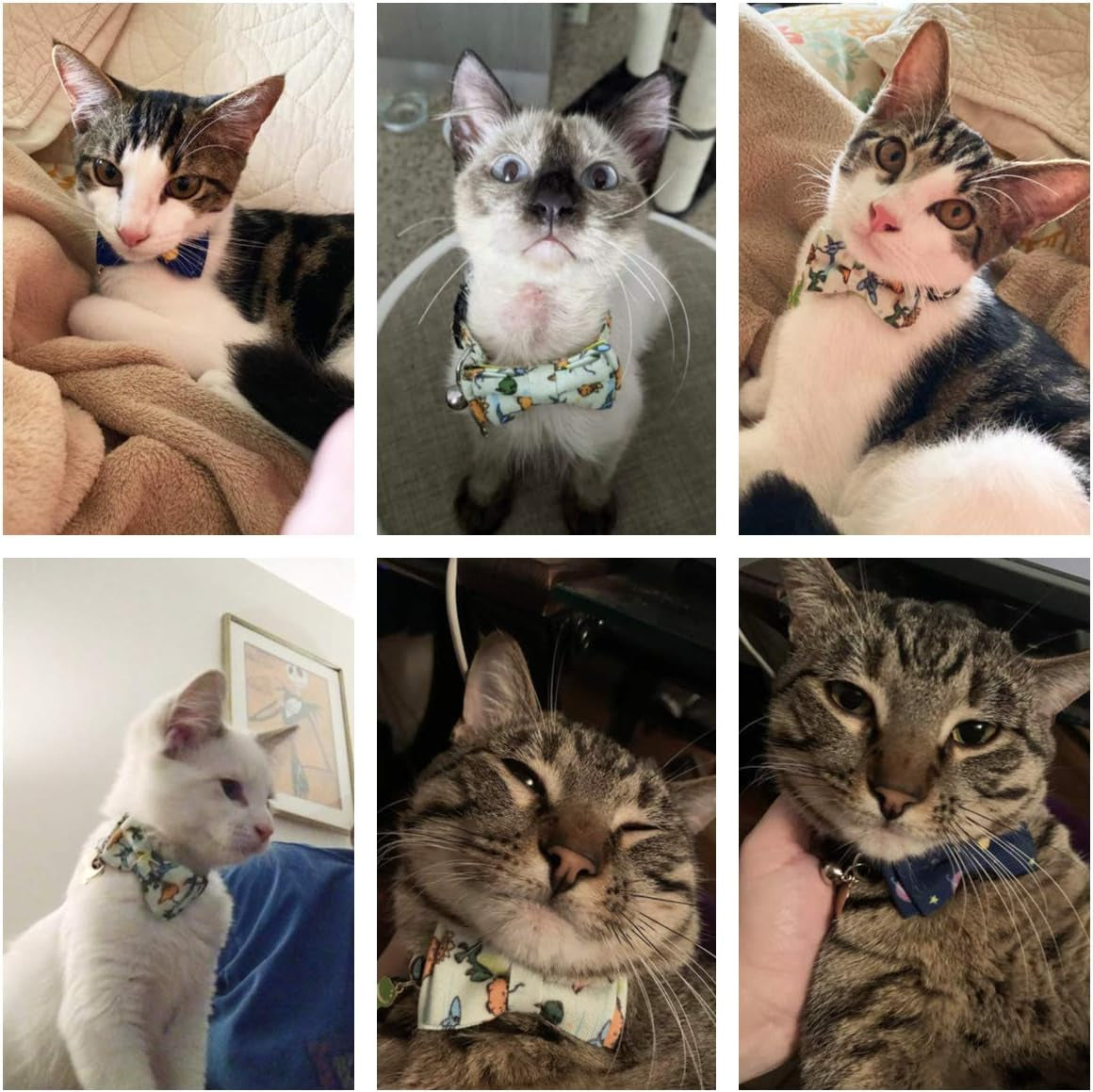 Cat Collar Breakaway with Cute Bow Tie Bell, 2 Pack Kitten Collar with Removable Bowtie, Universe Dinosaur Bowtie Collar for Cats (7.5"- 10.5")