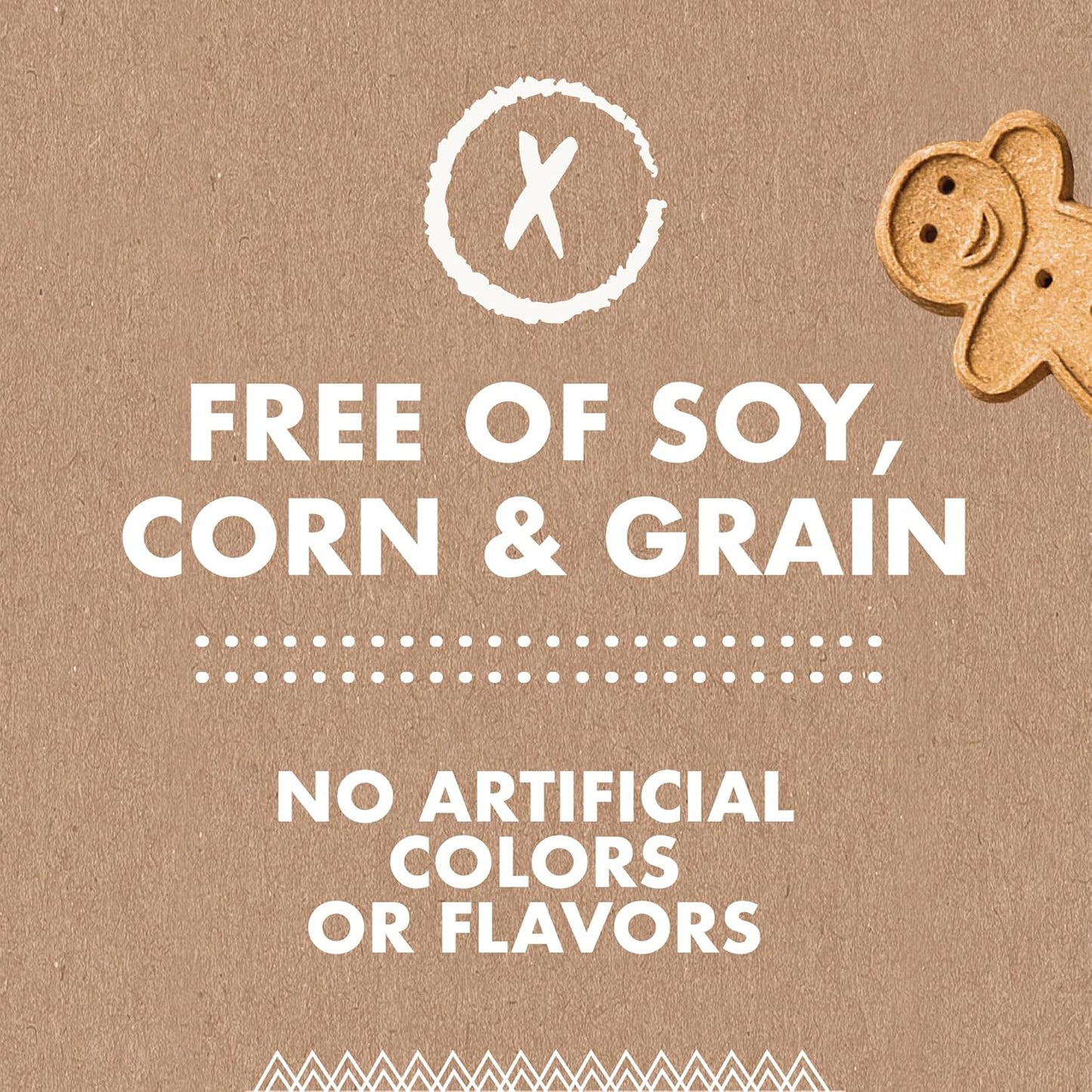 3 Oz Pouch of Grain Free Soft & Chewy Cat Treats Made with Natural Tender Chicken