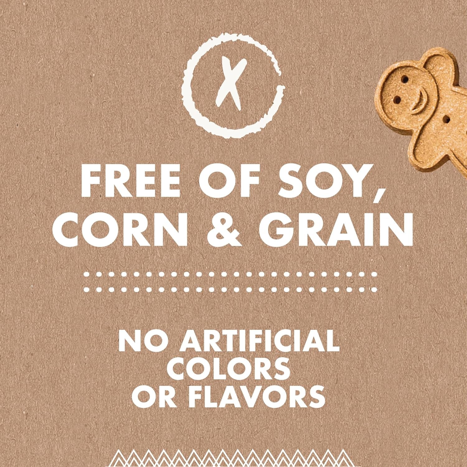 3 Oz Pouch of Grain Free Soft & Chewy Cat Treats Made with Natural Tender Chicken