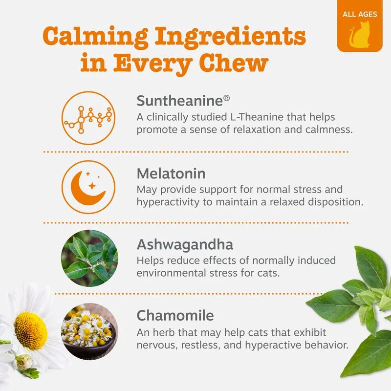 Calming Bites for Cats, for Calmness, Composure & Relaxation, Bacon 30 Ct