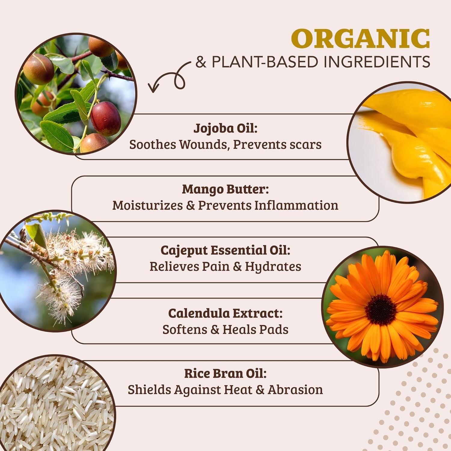 Pawtection Balm for Dogs, Dog Paw Protector, Moisturizing Dog Paw Balm for Dry, Cracked Pad, Protects Paw from Extreme Weather, Paw Lotion for Allergies & Itching (0.15 Oz Stick)