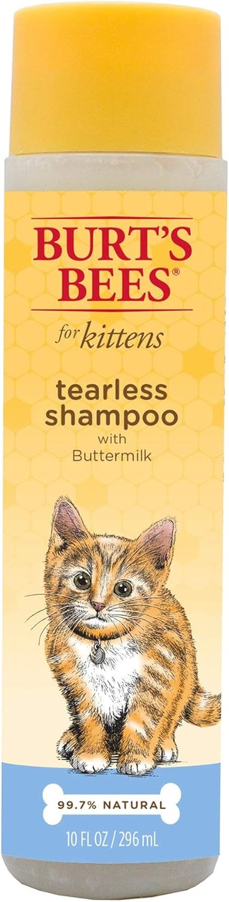 Tearless Kitten Shampoo with Buttermilk, 99.3% Natural Origin Formulas, Pet Shampoo for Cats, Gentle Cat Shampoo, Cat Shampoo for Itchy Skin, 10 Oz