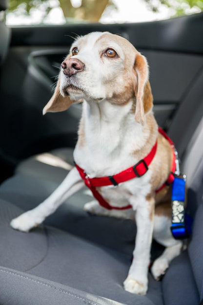 Dog Seat Belt Strap Adjustable - Dog Car Seatbelt for All Dog Breeds & Sizes - Fits Seatbelt Latches of Most Car Makes Buckles- 21" to 32" Dog Seatbelt – Sweet Lavender, Pack of 2