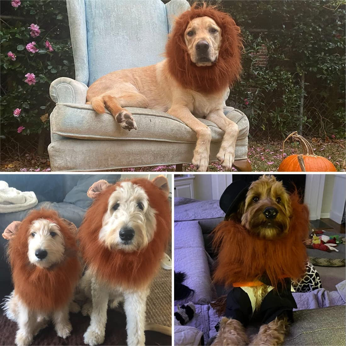 Lion Mane for Dog Costumes, Realistic Wig for Medium to Large Sized Dogs, Halloween Costumes (Dark Brown)