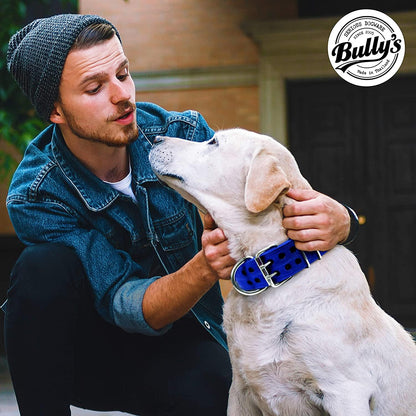 Pit Bull Collar, Dog Collar for Large Dogs, Heavy Duty Nylon, Stainless Steel Hardware (Medium, Black with Red Trim)