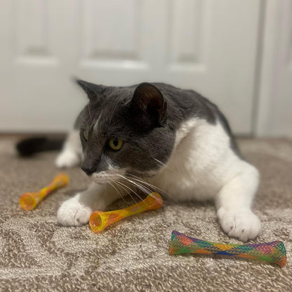 Kitty Fun Tubes Cat Toy | Bouncy Cat Toy with Catnip inside for Cats and Kittens to Bite, Swat and Chase | Interactive Cat Toy | 3 Pieces