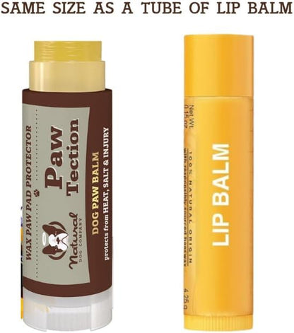 Pawtection Balm for Dogs, Dog Paw Protector, Moisturizing Dog Paw Balm for Dry, Cracked Pad, Protects Paw from Extreme Weather, Paw Lotion for Allergies & Itching (0.15 Oz Stick)
