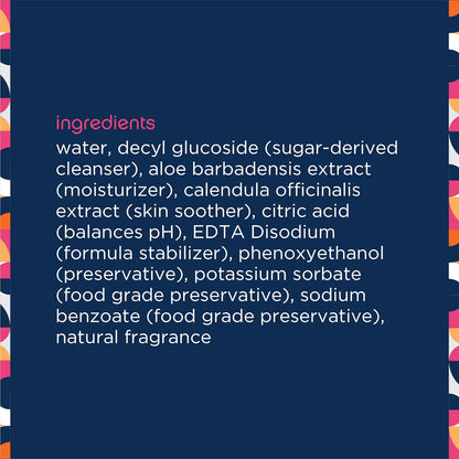 Pet Wipes for Dogs, Dog Cleaning Wipes - Plant-Based Dog Wipes with Moisturizing Aloe Leaf & Calendula - Made in the USA - Bergamot Apple Scent Dog Grooming Wipes - 40Ct (Pack of 1)