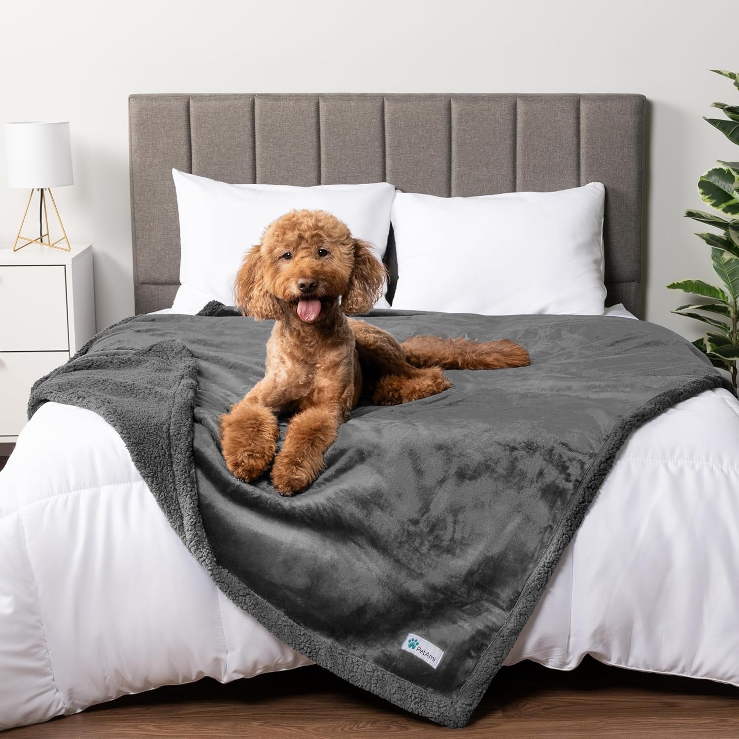 Waterproof Dog Blanket for Queen Bed Large XL Dog Throw for Couch Cover Leakproof Furniture Protection, Sherpa Fleece, Reversible Soft Washable 90X90 Gray Gray