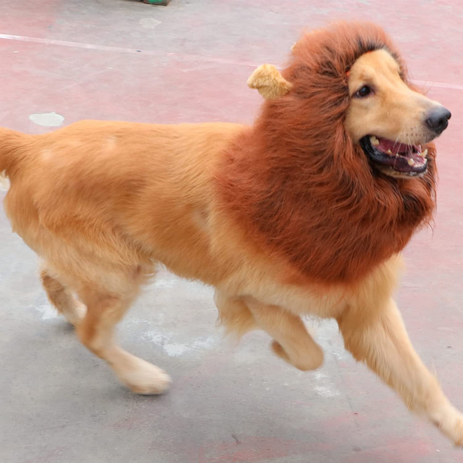 Lion Mane for Dog Costumes, Realistic Wig for Medium to Large Sized Dogs, Halloween Costumes (Dark Brown)