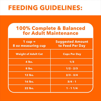 Proactive Health Adult Sensitive Digestion & Skin Dry Cat Food with Turkey, 13 Lb. Bag