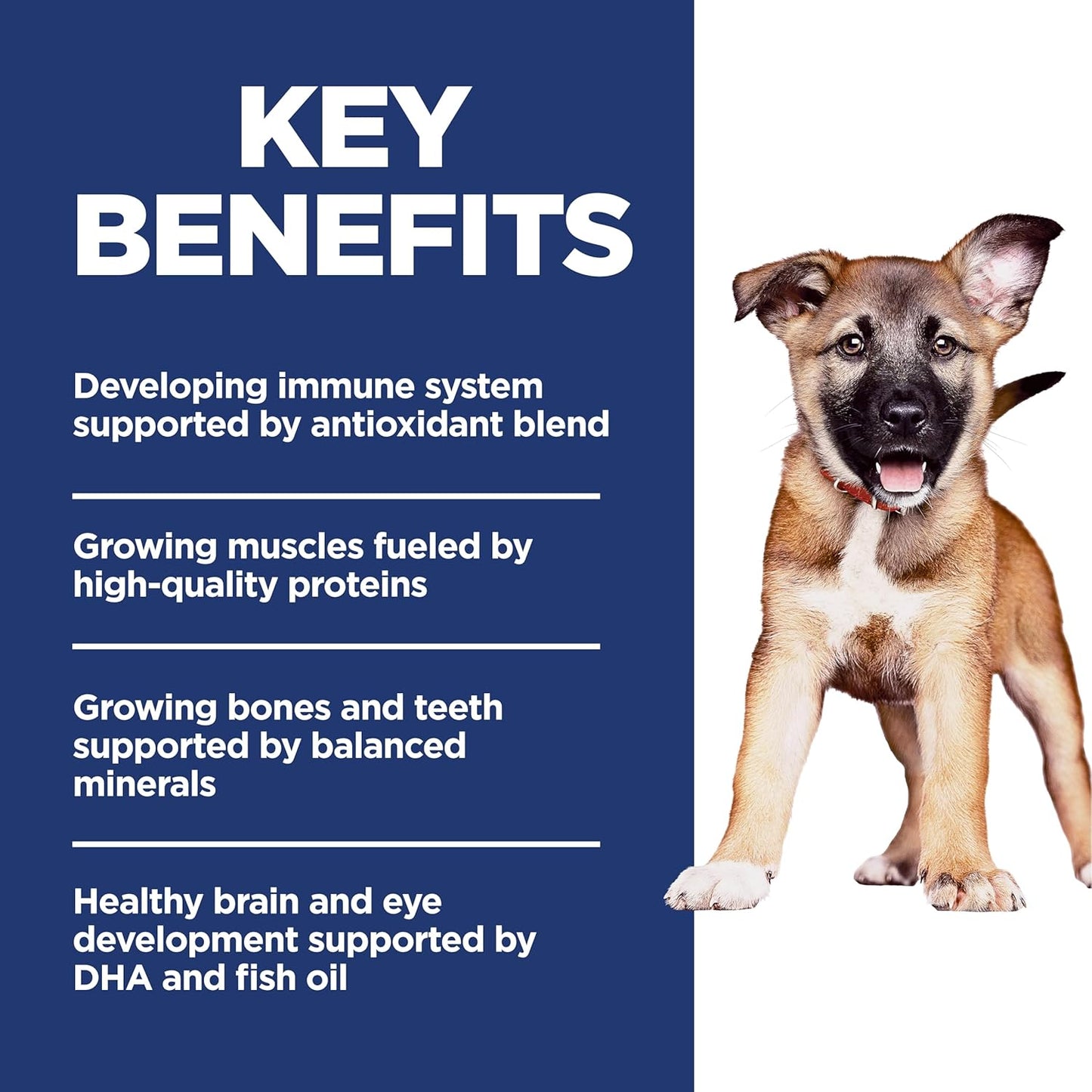 Puppy, Large Breed Puppy Premium Nutrition, Dry Dog Food, Chicken & Brown Rice, 15.5 Lb Bag