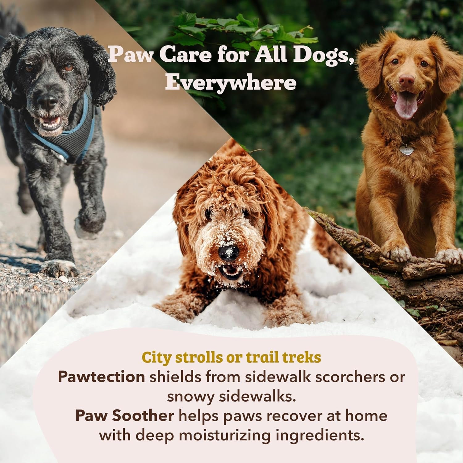 Pawtection Balm for Dogs, Dog Paw Protector, Moisturizing Dog Paw Balm for Dry, Cracked Pad, Protects Paw from Extreme Weather, Paw Lotion for Allergies & Itching (0.15 Oz Stick)