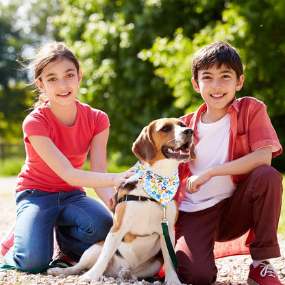 12 Piece Dog Bandanas Plaid Dog Scarf Pet Triangle Bibs Adjustable Accessories Bulk Kerchief Buffalo Plaid Bandanas Decor for Small or Medium Cat Dog Pet (Animal Letter)
