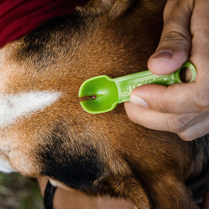 Tick Remover Spoon - 3 Pack of Lightweight Tick Remover Tools with Free Tick ID Card & Carabiner (1 Set, 3 Spoons)