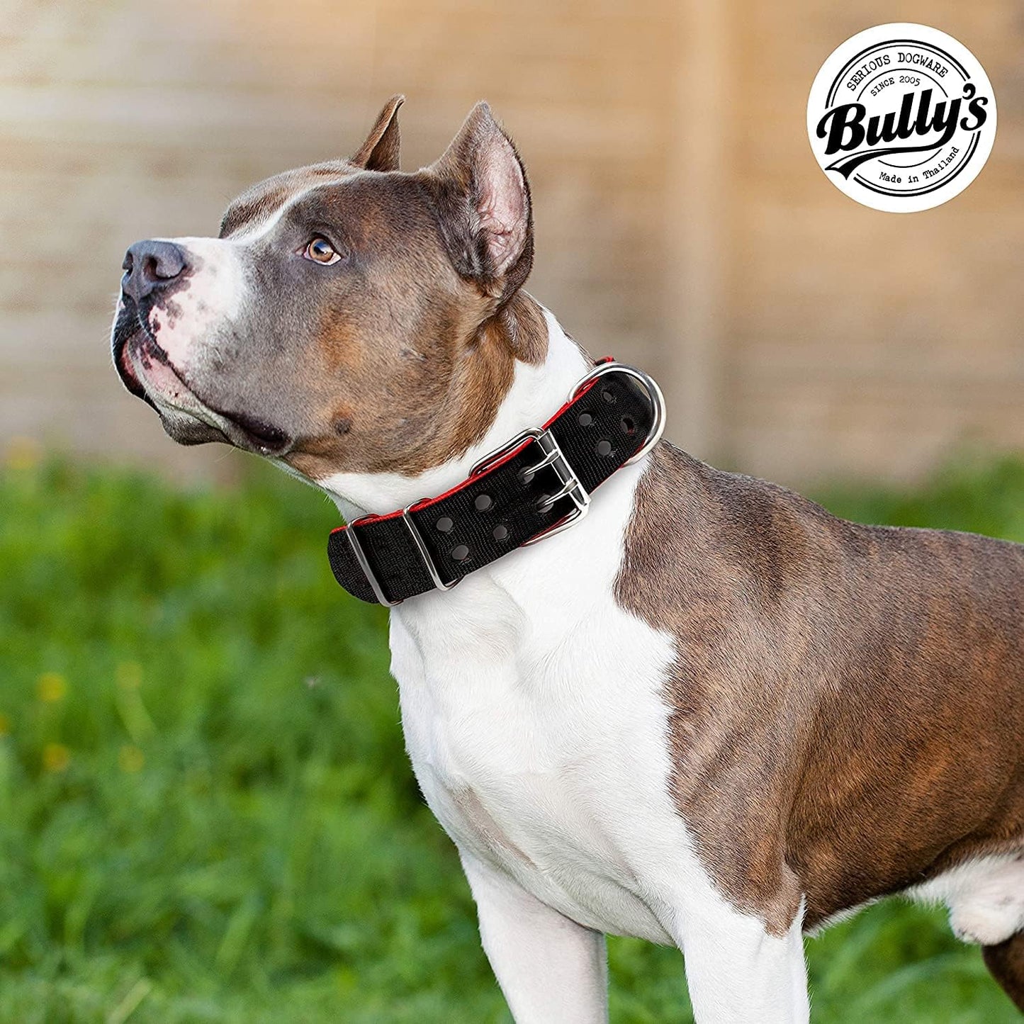 Pit Bull Collar, Dog Collar for Large Dogs, Heavy Duty Nylon, Stainless Steel Hardware (Medium, Black with Red Trim)