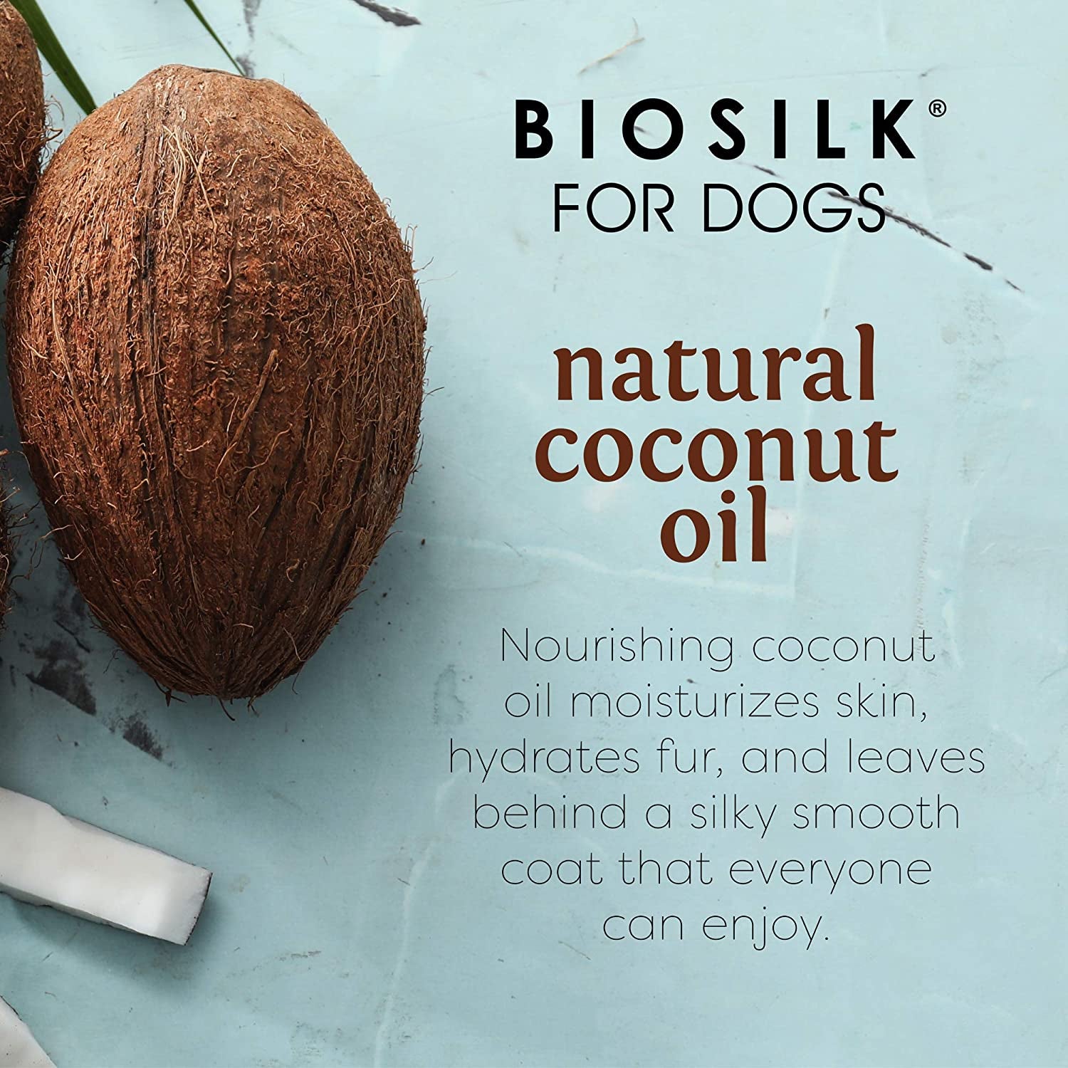 for Dogs Silk Therapy Conditioner with Natural Coconut Oil | Coconut Oil Dog Conditioner from  for Dogs | Pet Conditioner for Dogs, 12 Ounces,Beige