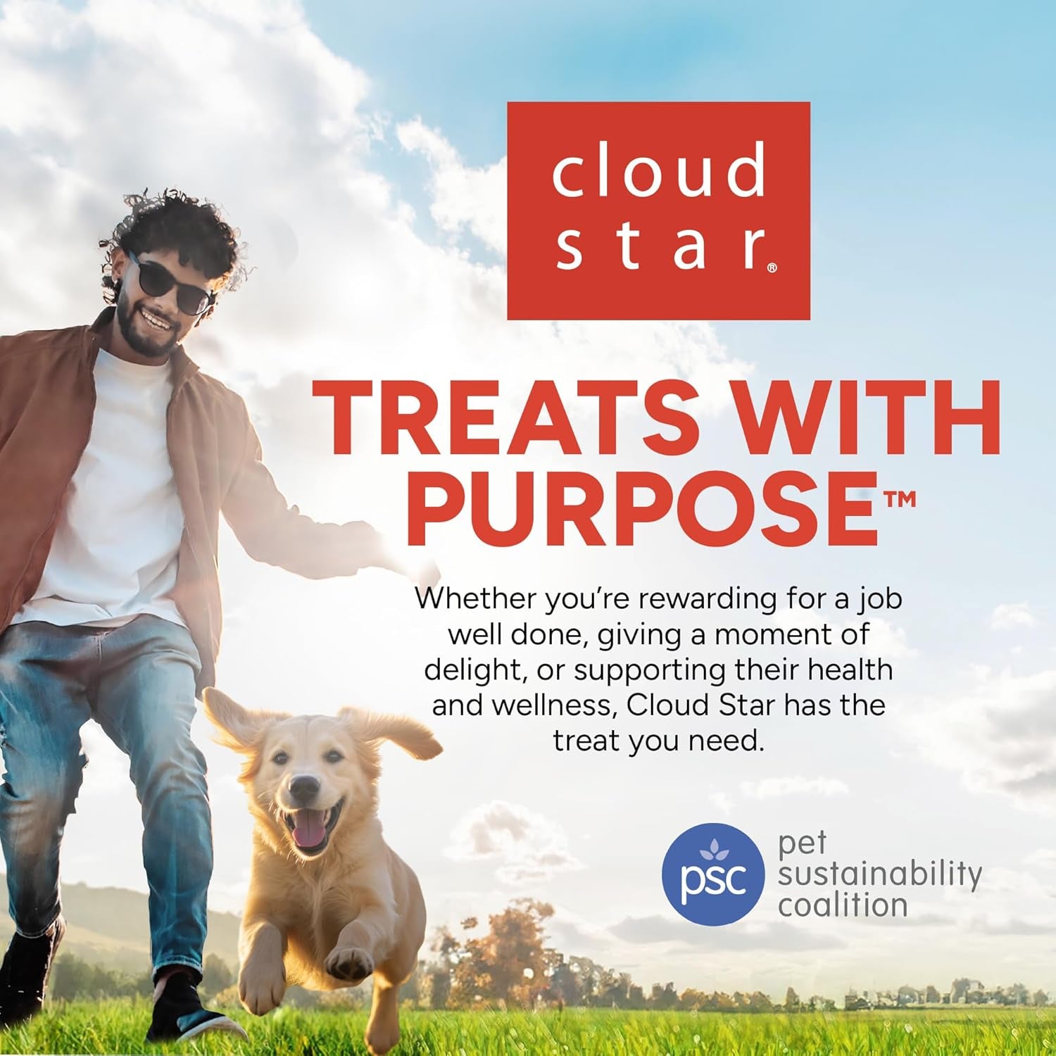 3 Oz Pouch of Grain Free Soft & Chewy Cat Treats Made with Natural Tender Chicken