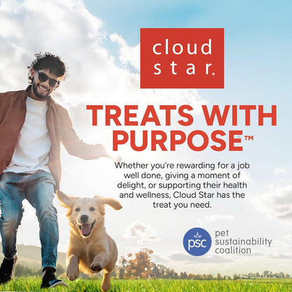 3 Oz Pouch of Grain Free Soft & Chewy Cat Treats Made with Natural Tender Chicken