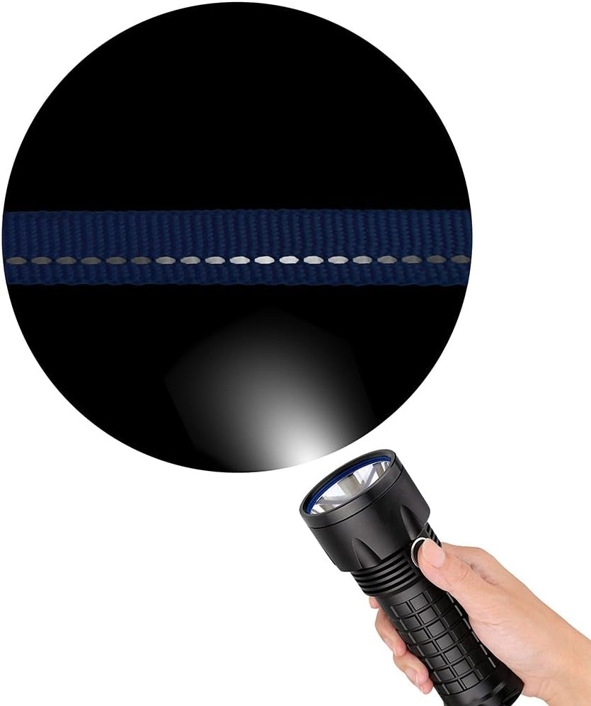 Reflective Dog Collar for a Small, Medium, Large Dog or Puppy with a Quick Release Buckle - Boy and Girl - Nylon Suitable for Swimming (7-11 Inch, Lime Green)