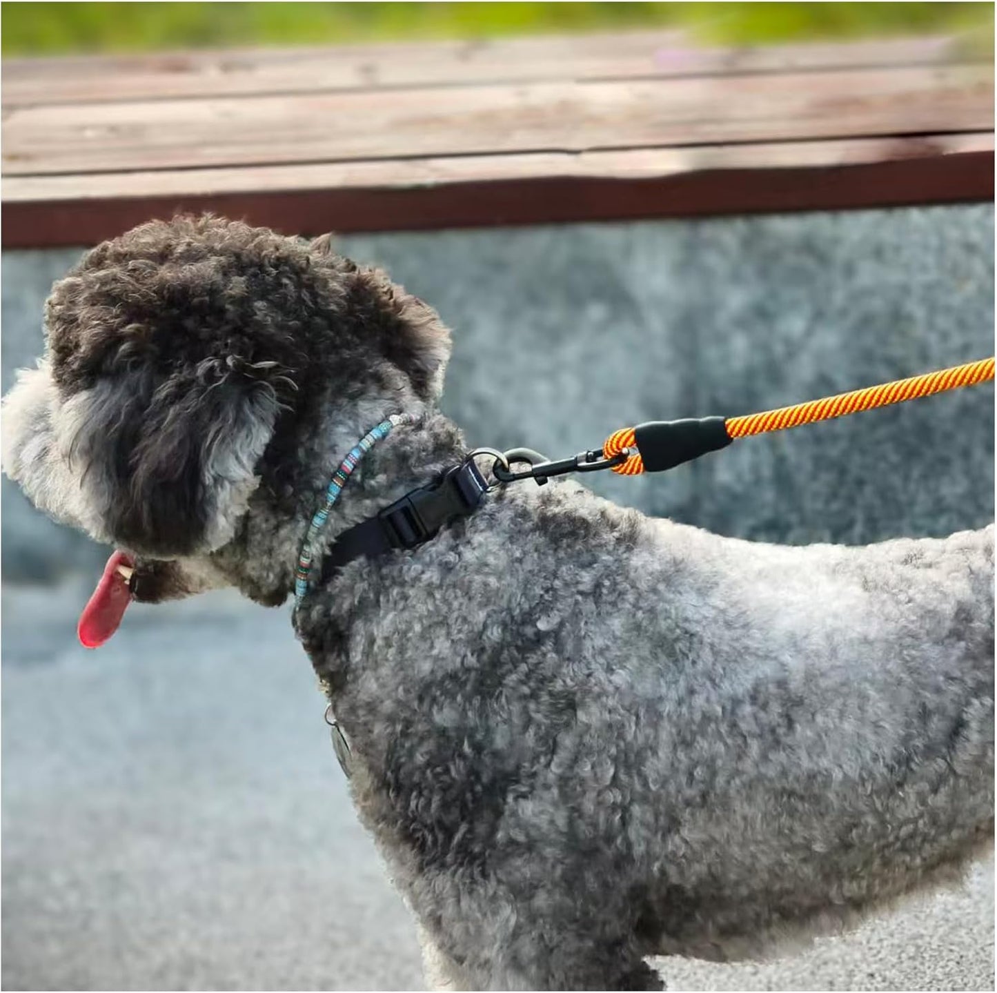 Heavy Duty Rope Dog Leash, 6 FT Nylon Pet Leash, Soft Padded Handle Thick Lead Leashes for Large Medium Dogs (Orange, 1/2" X 6Ft)