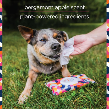 Pet Wipes for Dogs, Dog Cleaning Wipes - Plant-Based Dog Wipes with Moisturizing Aloe Leaf & Calendula - Made in the USA - Bergamot Apple Scent Dog Grooming Wipes - 40Ct (Pack of 1)