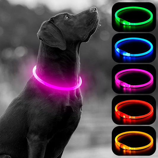 LED Dog Collar, USB Rechargeable Light up Dog Collars Glow in the Dark, Waterproof LED Dog Necklace for Your Dogs Walking at Night (Pink)