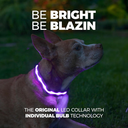 Light up Dog Collar - the Original LED Dog Collar - USB Rechargeable - Waterproof - 1,000 Feet of Visibility - Dog Collar Light for Small, Medium, Large Dogs - US Brand