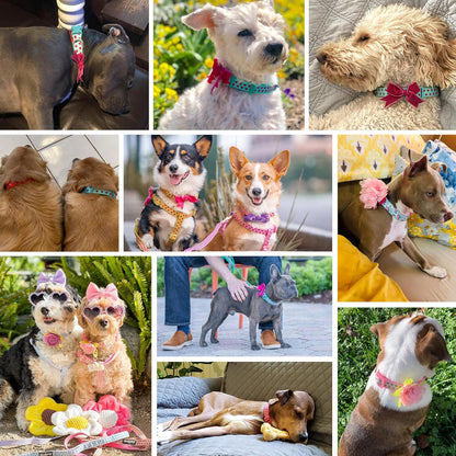 Adjustable Flocking Dog Collar with Silk Flower, Polka Dot in Baby Pink, Large - Dog Collars for Small Dogs, Girl Dog Collars, Pink Dog Collar, Neck 18-26"