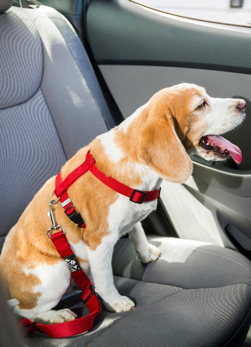 Dog Seat Belt Strap Adjustable - Dog Car Seatbelt for All Dog Breeds & Sizes - Fits Seatbelt Latches of Most Car Makes Buckles- 21" to 32" Dog Seatbelt – Sweet Lavender, Pack of 2